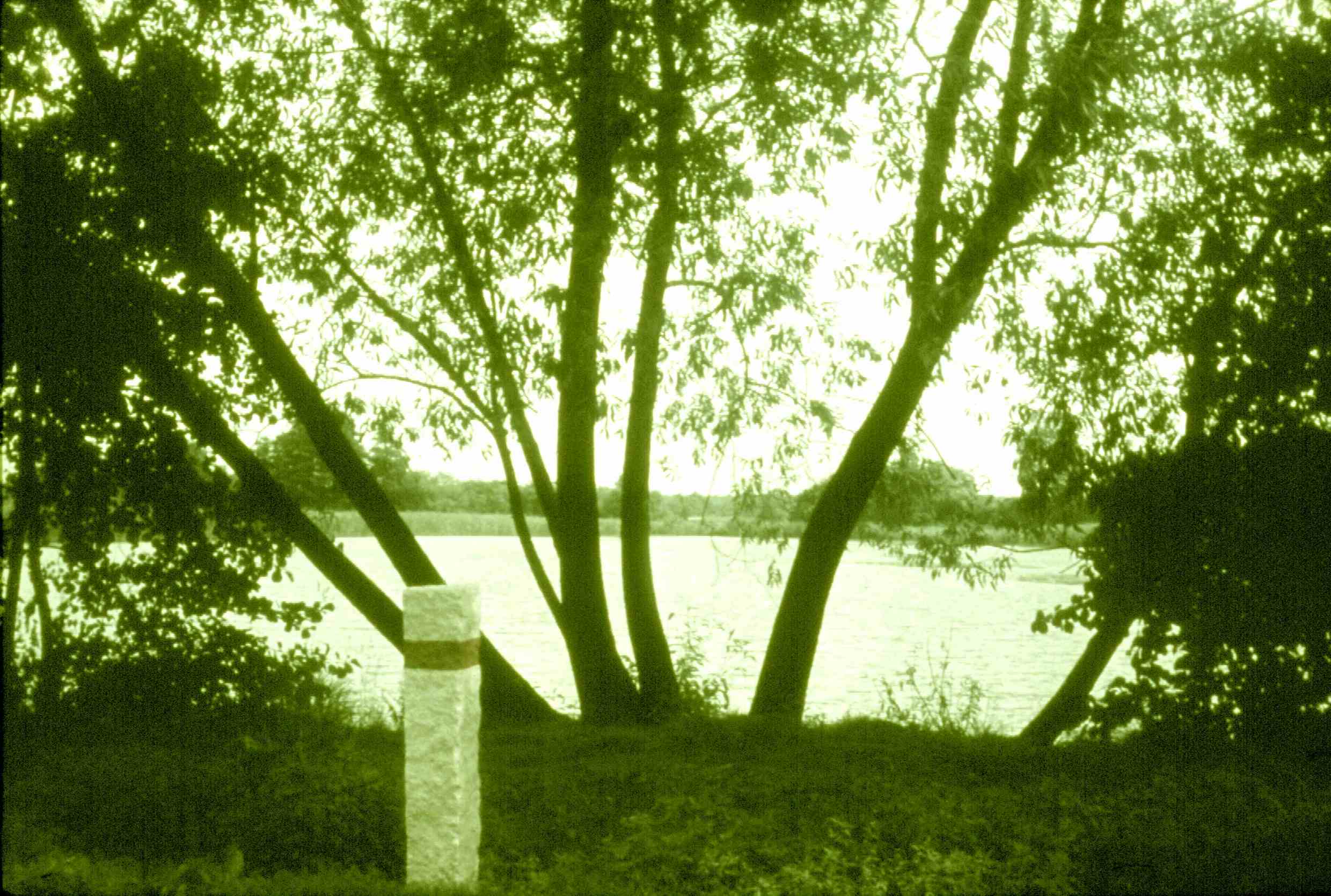 Rohrbacher Teich