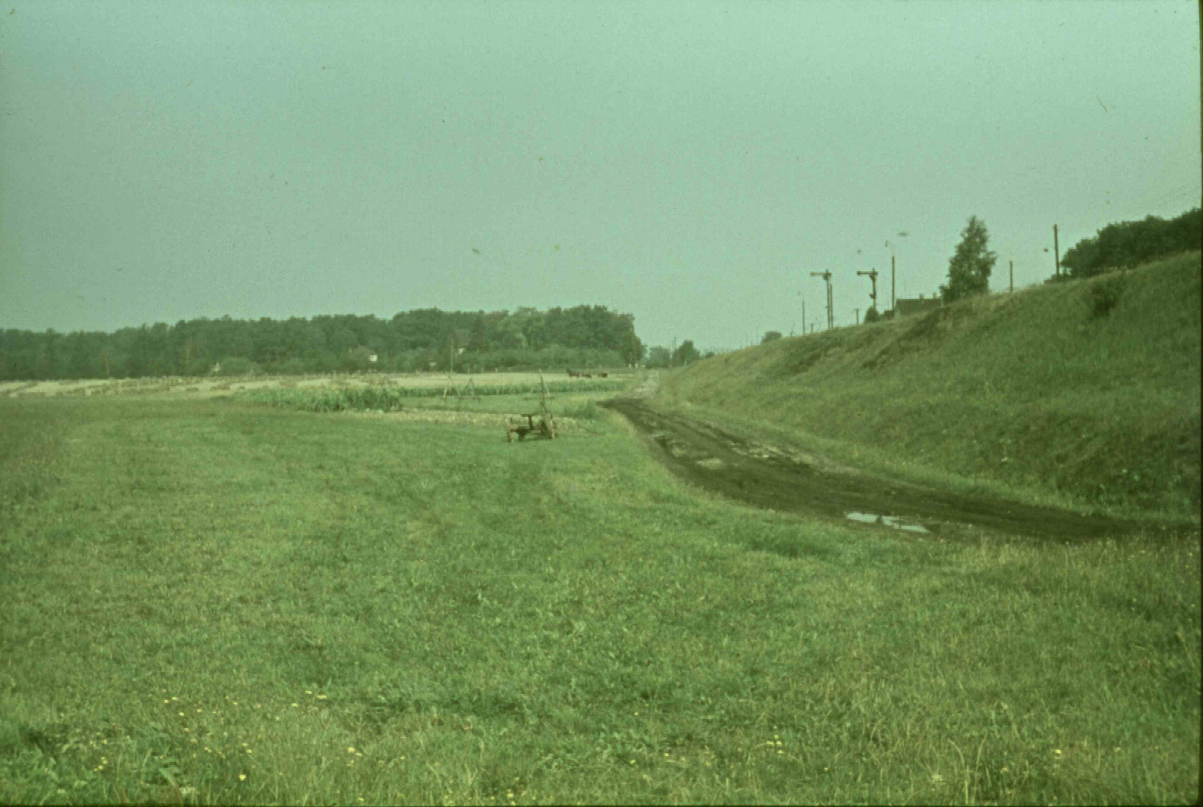 Oberholzer Weg