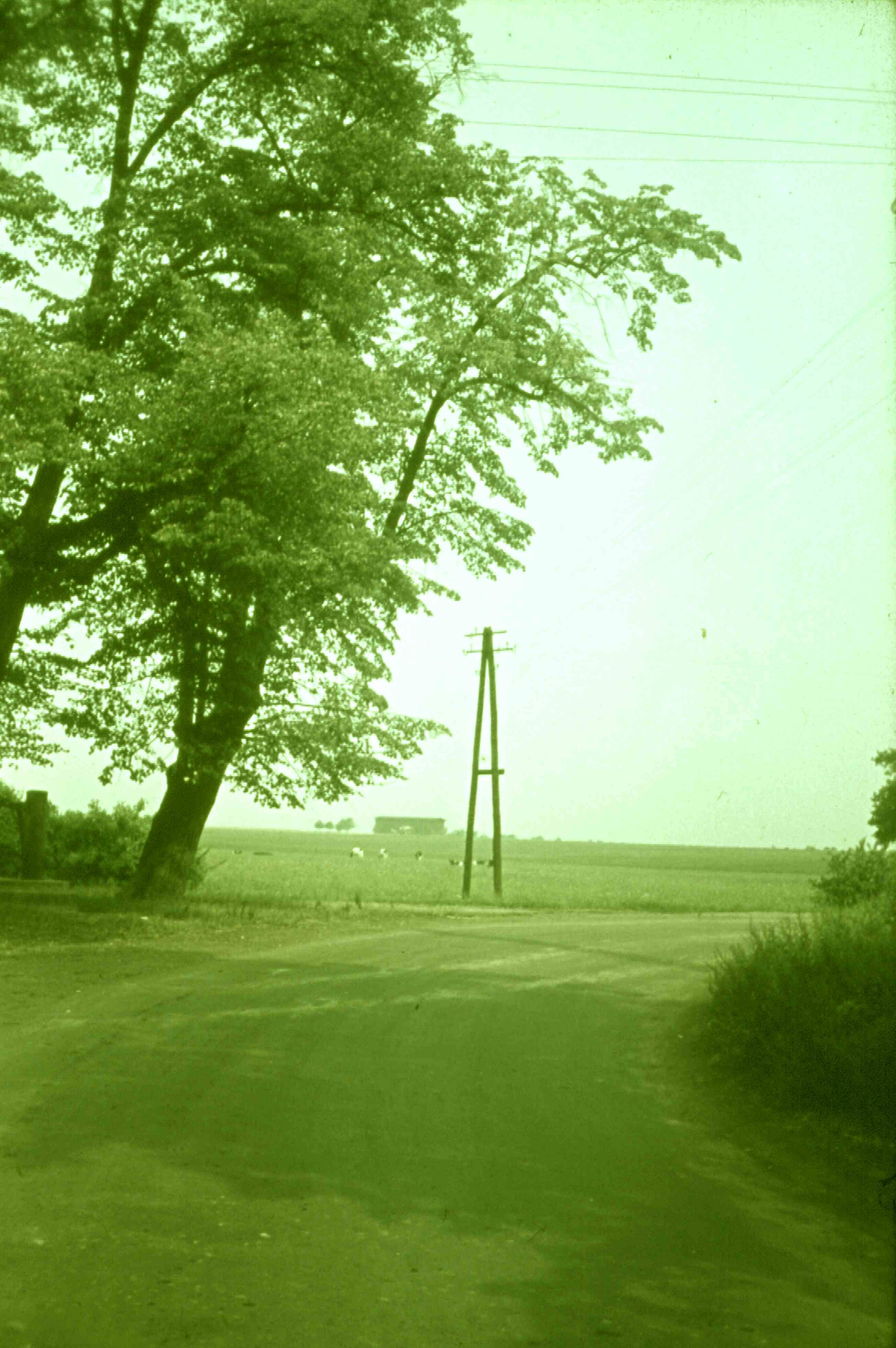 Abzweigung nach Köhra