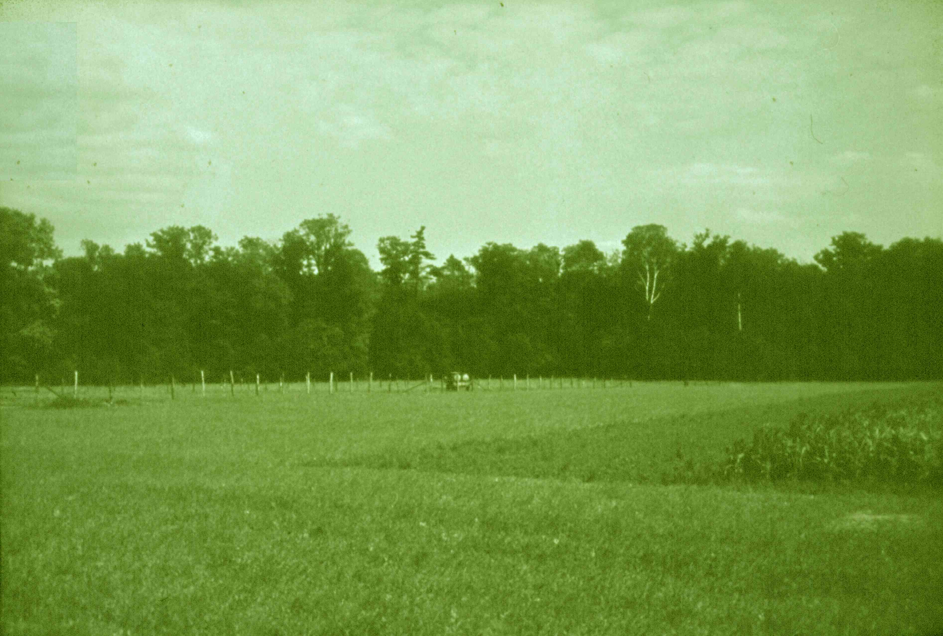 Blick auf Park, Belgershain