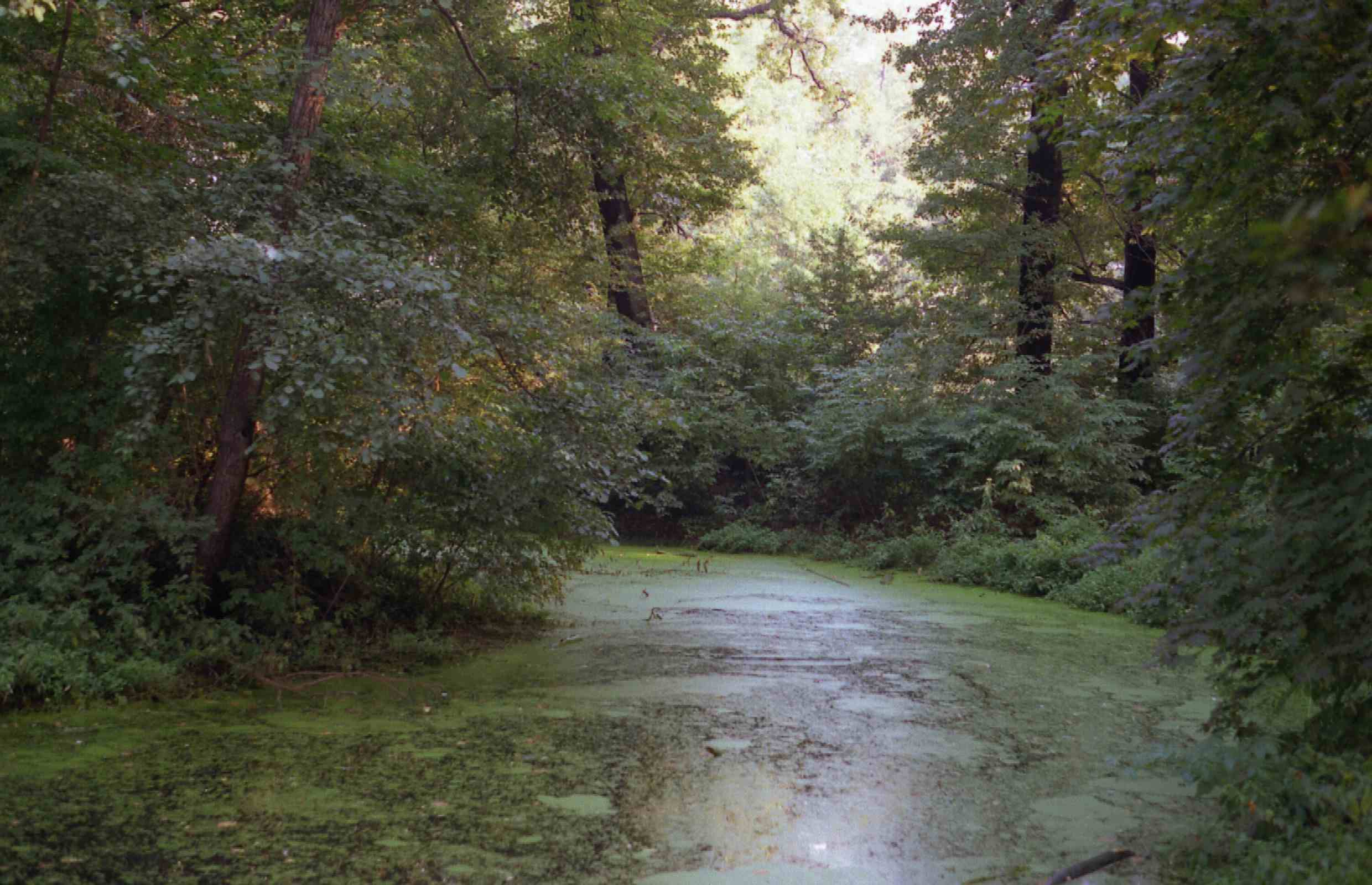 Parkteich in Belgershain